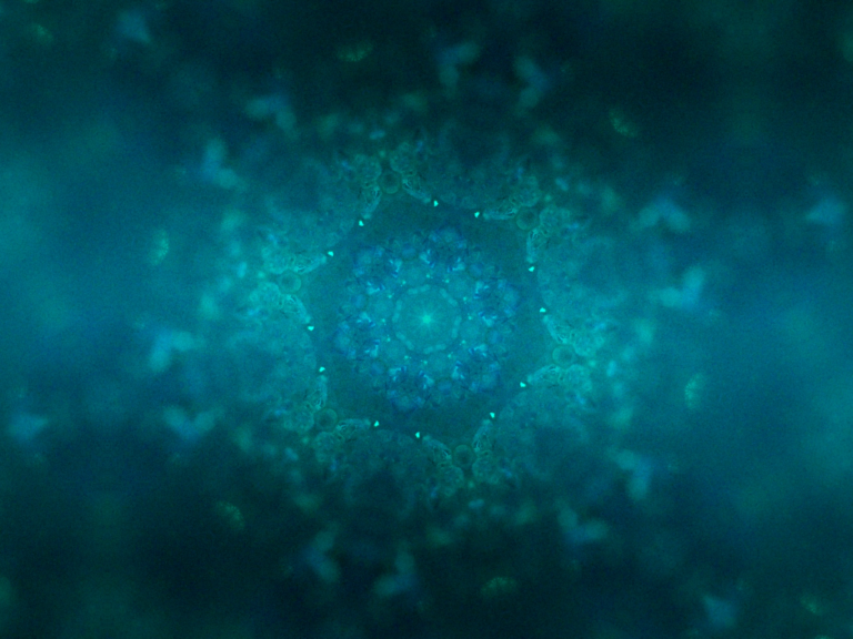 Still 2025-01-12 152459_1.1.10