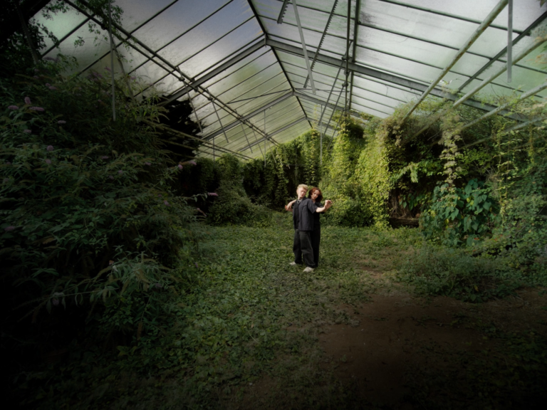 Still 2025-01-12 152459_1.1.35