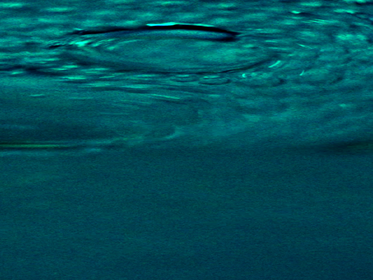 Still 2025-01-12 152459_1.1.45