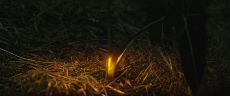 Still 2025-02-06 202050_1.527.1