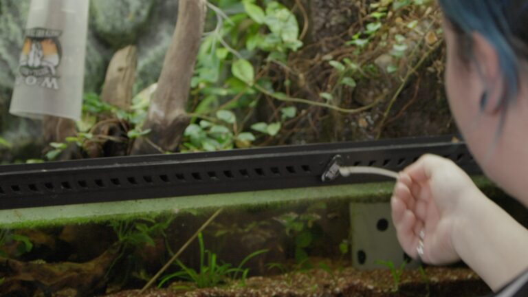 Still 2025-02-11 124551_1.114.1