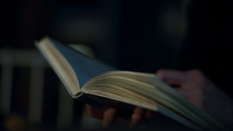 Still 2025-02-14 171150_1.6.2