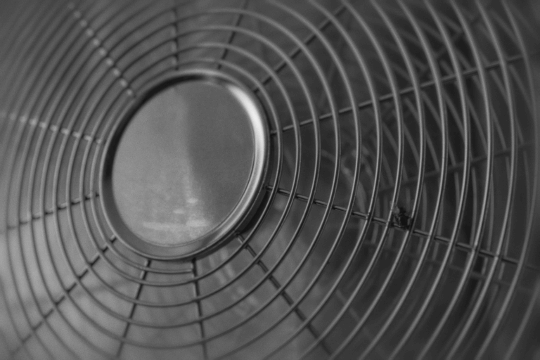 Still 2025-09-01 150841_2.233.1