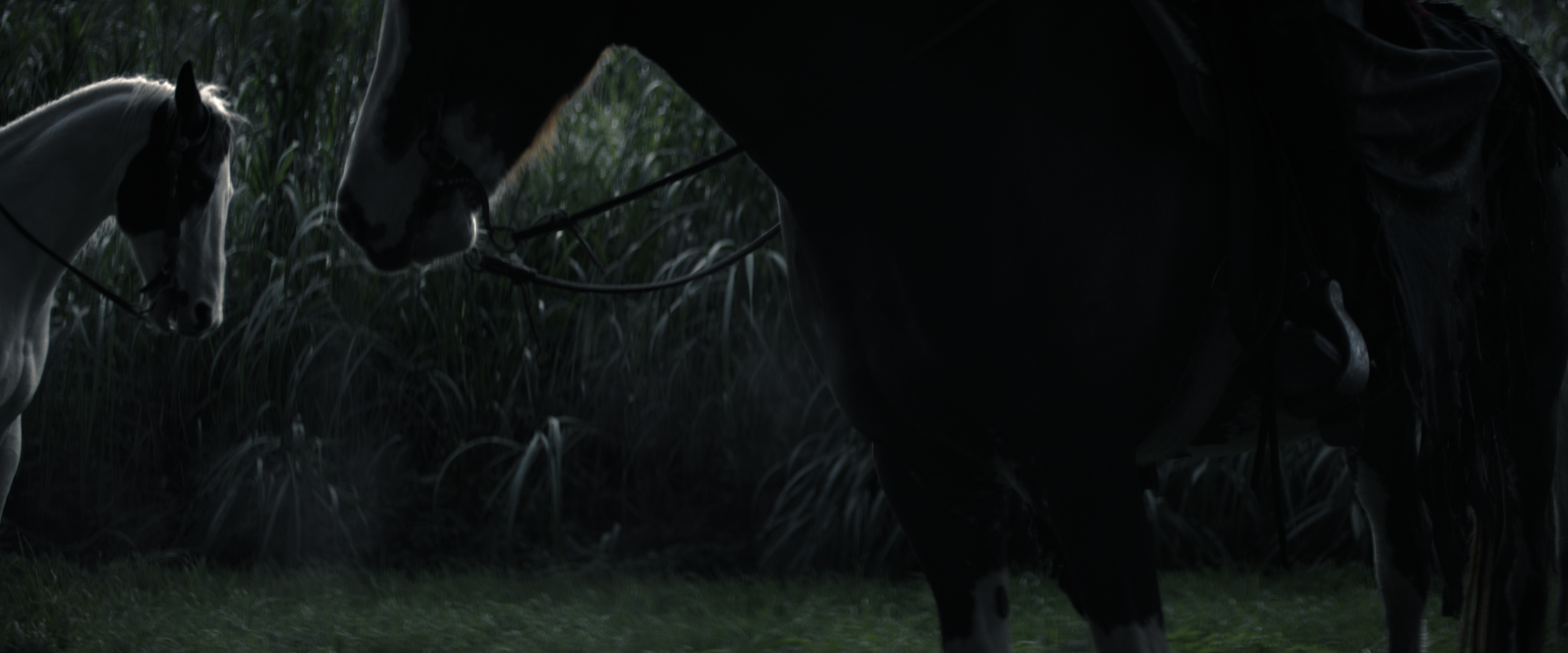 Still 2025-10-18 184617_1.61.1