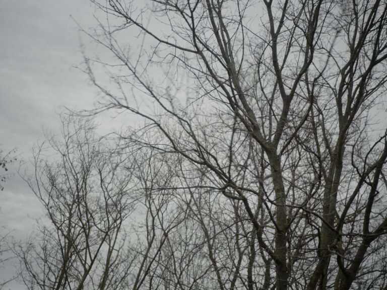 Still 2025-10-19 222749_1.1.1