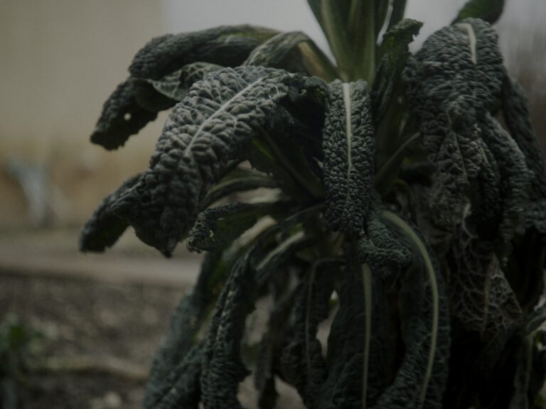 Still 2025-10-19 222749_1.2.1