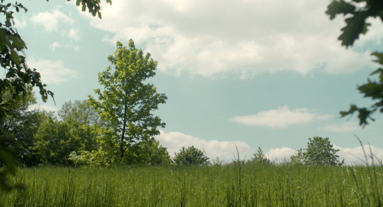 Still 2025-10-22 213006_1.11.1