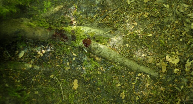 Still 2025-10-22 213006_1.4.2